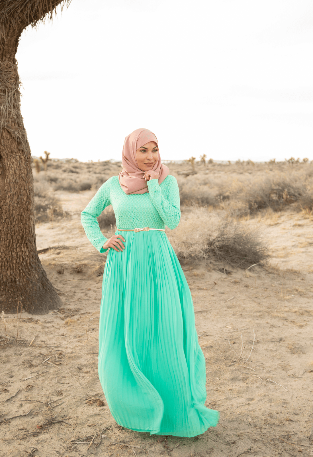 Lennon Mint Pleated Lace Maxi Dress