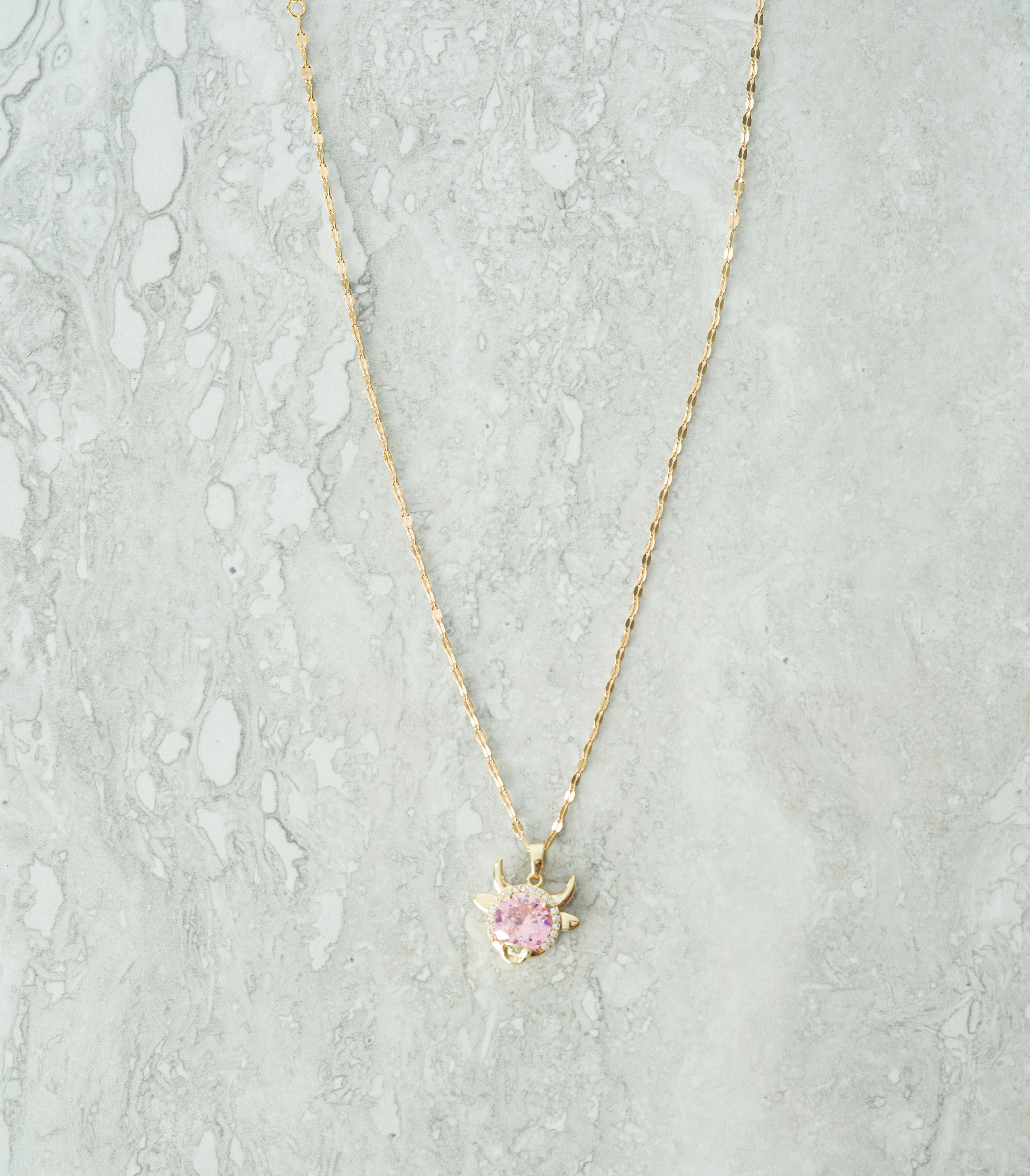 Wilder Pink Gold Charm Necklace
