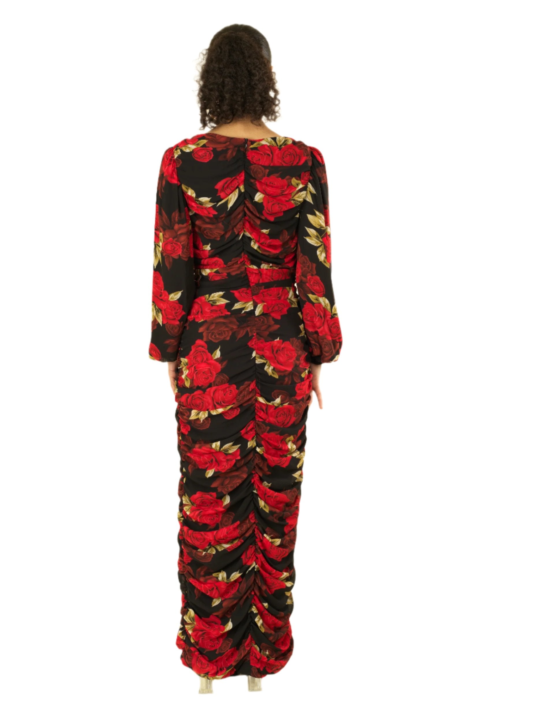 Leighton Roses Chiffon Bodycon Maxi Dress